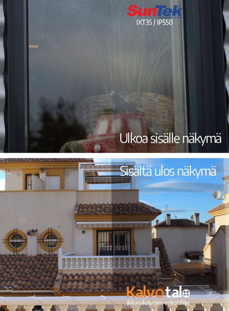 Tummentava kalvo ikkunaan